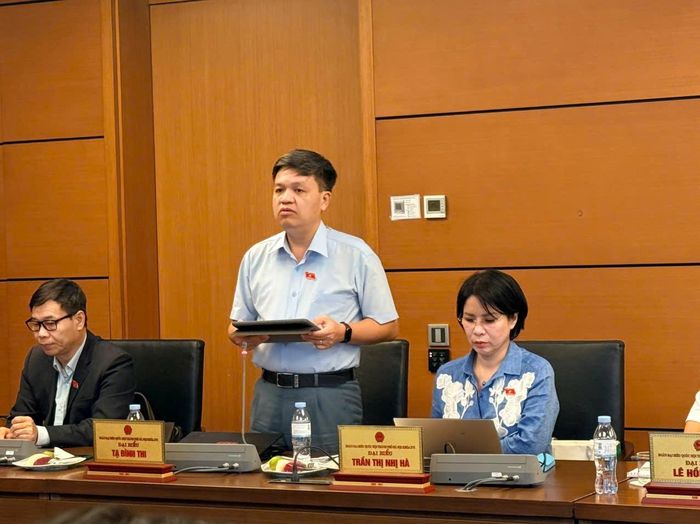 Đại biểu Tạ Đình Thi, Phó Chủ nhiệm Ủy ban Khoa học, Công nghệ và Môi trường của Quốc hội (Đoàn ĐBQH TP Hà Nội) phát biểu tại Tổ 1 chiều 4/8.