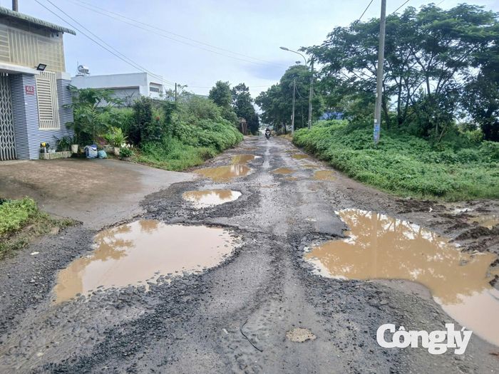 Mặt đường xuống cấp nghiêm trọng, chính quyền phường Hội Phú gấp rút triển khai thi công làm đường mới, để bà con thuận tiện đi lại.