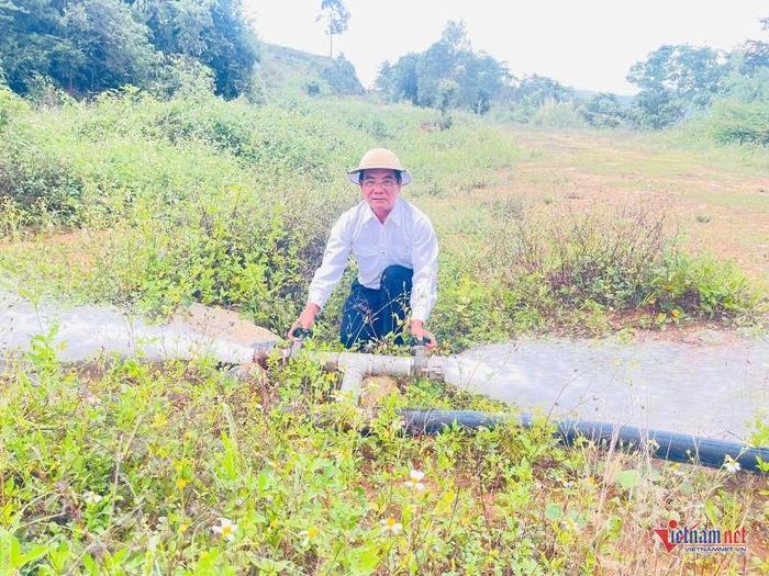 Nhờ áp lực cao, nước được dẫn về hệ thống tưới mà không cần sử dụng máy bơm, giúp tiết kiệm đáng kể chi phí vận hành. Ảnh: Trần Hoàn