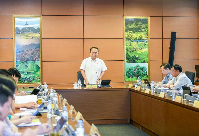 Bí thư Quản Minh Cường phát biểu tại tổ. Ảnh: QH