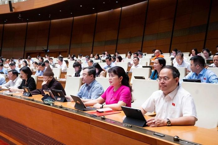 Các đại biểu tham dự Phiên họp (Ảnh: CTTĐT Quốc hội).