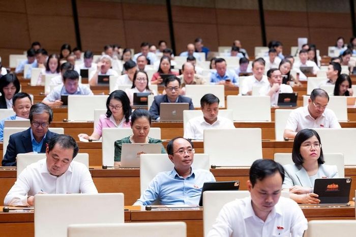  Các đại biểu tham dự Phiên họp (Ảnh: CTTĐT Quốc hội).
