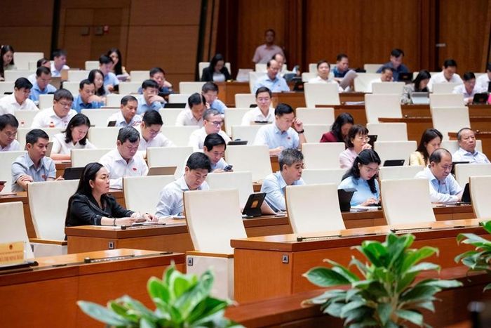 Các đại biểu tham dự Phiên họp (Ảnh: CTTĐT Quốc hội).