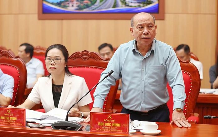Phó Bí thư Tỉnh ủy Bùi Đức Hinh phát biểu tại Hội nghị.
