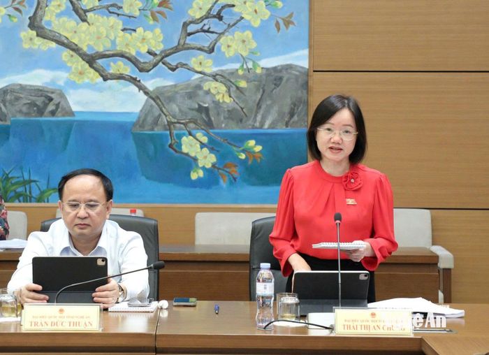 Đại biểu Thái Thị An Chung - Phó trưởng Đoàn chuyên trách Đoàn ĐBQH tỉnh Nghệ An tham gia thảo luận tổ. Ảnh: Khánh Duy