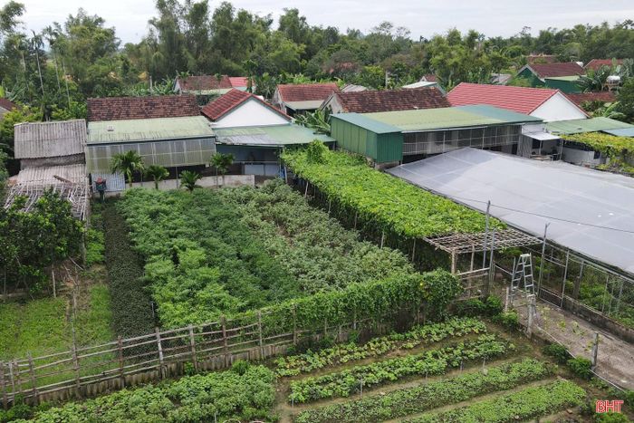 Phải gánh chịu nhiều trận lũ lụt nhưng đổi lại, vùng đất Đức Xá được bồi đắp lượng phù sa lớn nên quanh năm nơi đây luôn cây cối xanh tươi.