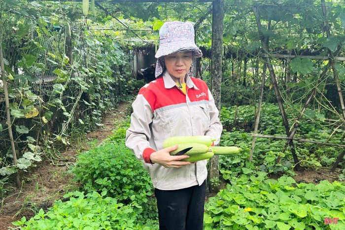 Nhờ trồng xen canh nên mùa nào người dân thôn Đức Xá cũng có rau xanh để bán.