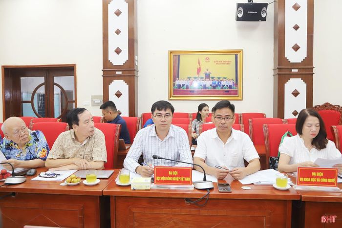 Đại biểu tham dự buổi làm việc.