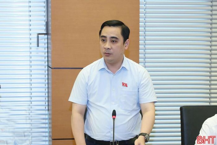 Đại biểu Lê Thành Đông - Giám đốc Sở KH&CH (Đoàn ĐBQH tỉnh Hà Tĩnh) tham gia thảo luận.