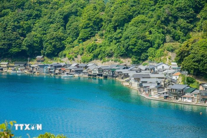 Hiện nay, Ine còn khoảng 230 căn Funaya nối tiếp nhau dọc gần 5km bờ vịnh, tạo nên khung cảnh "độc nhất" tại Nhật Bản. (Ảnh: Xuân Giao/TTXVN)