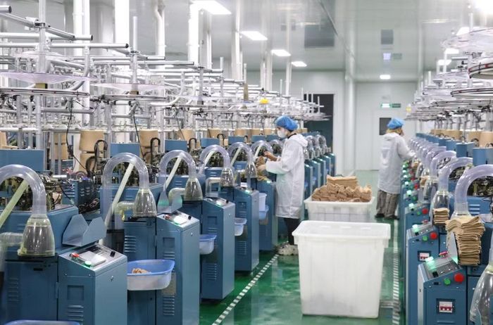 Hoạt động sản xuất tại các doanh nghiệp FDI trên địa bàn tỉnh Tây Ninh góp phần mở rộng năng lực công nghiệp, thúc đẩy xuất khẩu, tạo việc làm và nâng cao vai trò của địa phương trong chuỗi cung ứng khu vực. (Ảnh: Bùi Giang/TTXVN)
