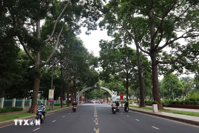 Những tuyến phố rợp bóng cây xanh tại Buôn Ma Thuột. (Ảnh: Kha Phạm/TTXVN)