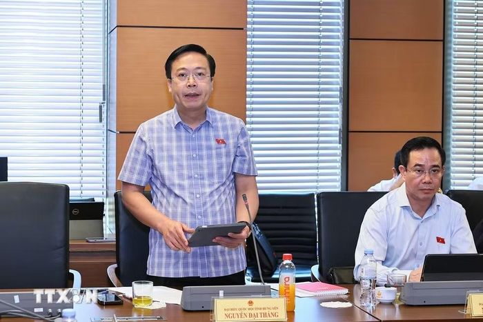 Đại biểu Quốc hội tỉnh Hưng Yên Nguyễn Đại Thắng phát biểu ý kiến. (Ảnh: Doãn Tấn/TTXVN)