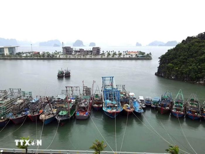 Khu vực cảng Ao Tiên, Đặc khu Vân Đồn, tỉnh Quảng Ninh. (Ảnh: TTXVN phát)