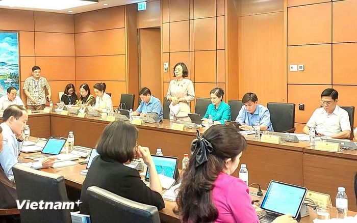 Bà Nguyễn Thanh Cầm, Đoàn Đại biểu Quốc hội tỉnh Quảng Ninh. (Ảnh: Minh Thu/Vietnam+)