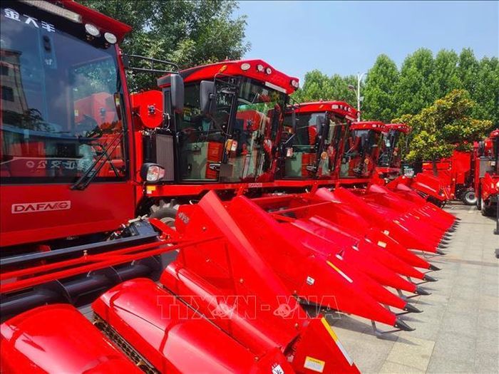 Máy thu hoạch ngô góp phần rút ngắn thời gian thu hoạch và giảm nhu cầu lao động thủ công.