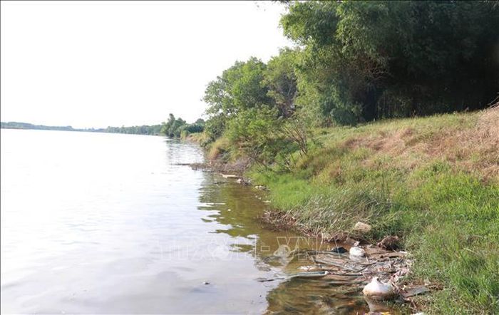 Nhiều diện tích đất vườn, đất sản xuất tại thôn Nam Long, xã Ái Tử đã bị xâm thực.