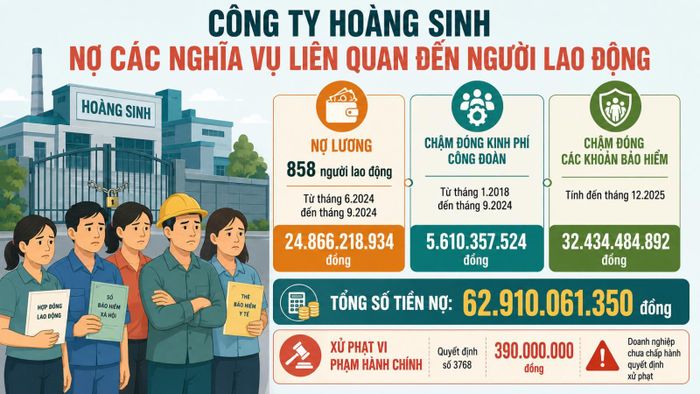 Ảnh minh họa chi tiết khoản nợ lương người lao động và các nghĩa vụ liên quan của Công ty Hoàng Sinh.