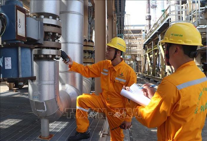 Hoạt động tại Công ty điện lực dầu khí Cà Mau.