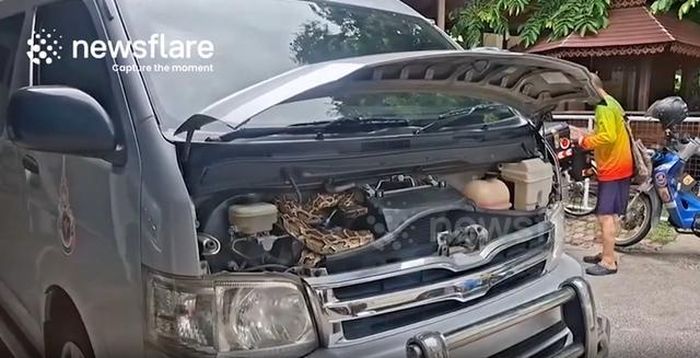 Ảnh cắt từ clip Newsflare.