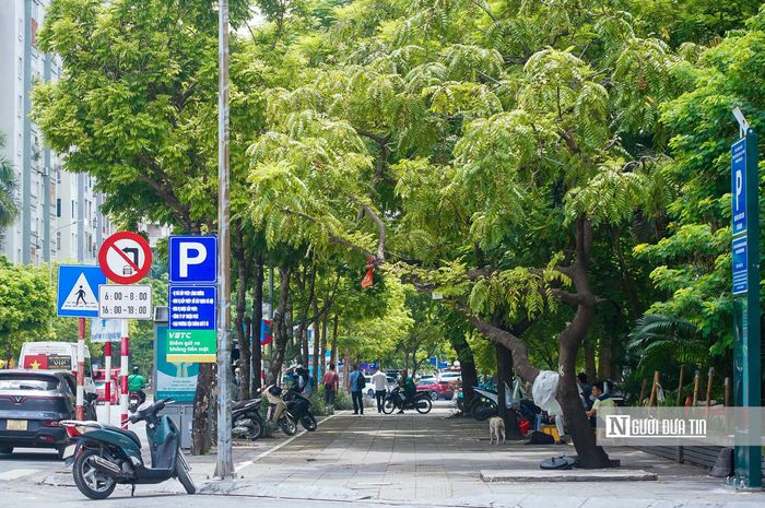 Trong đó, không gian trước cổng công viên Cầu Giấy trên phố Thành Thái sẽ thành nơi giao lưu văn hóa, tổ chức các lễ hội âm nhạc, triển lãm nghệ thuật đương đại, trình diễn sắp đặt; Hội chợ việc làm, ngày hội gia đình do doanh nghiệp tài trợ, chiến dịch cộng đồng...
