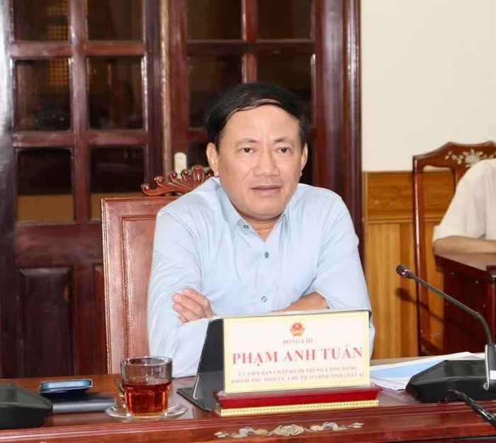 Chủ tịch UBND tỉnh Gia Lai Phạm Anh Tuấn phát biểu tại buổi làm việc.