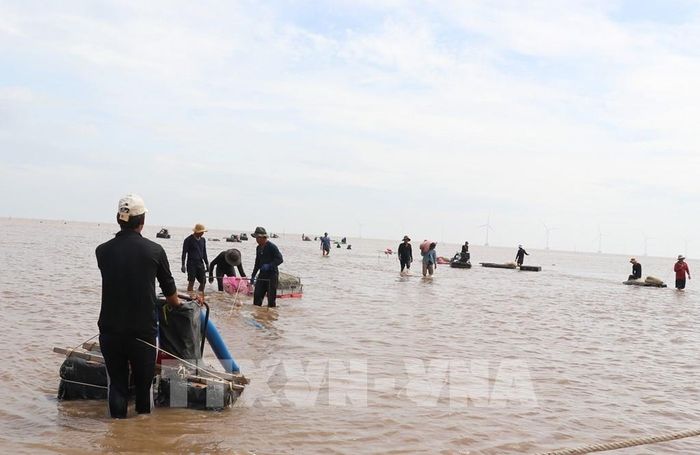 Người lao động sáng chế phương tiện cào nghêu bằng máy để tiết kiệm sức. Ảnh: Hữu Chí - TTXVN