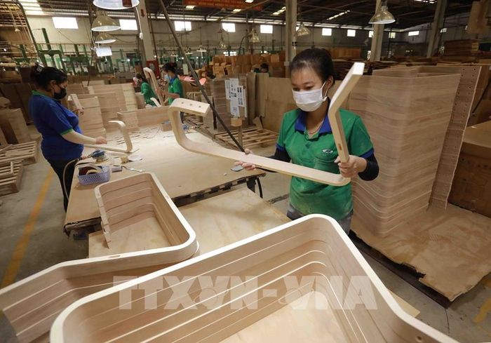 Sản xuất gỗ ván ép cong xuất khẩu tại nhà máy của Công ty TNHH Gỗ ván ép Nhật Nam. Ảnh minh họa: Vũ Sinh - TTXVN
