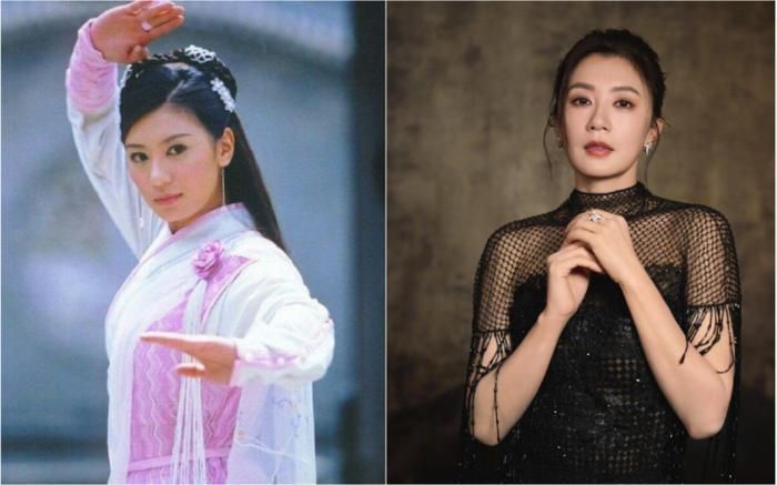 Sau nhiều biến cố hôn nhân, Giả Tịnh Văn tìm thấy hạnh phúc bên Tu Kiệt Khải và vẫn tích cực hoạt động trong làng giải trí.