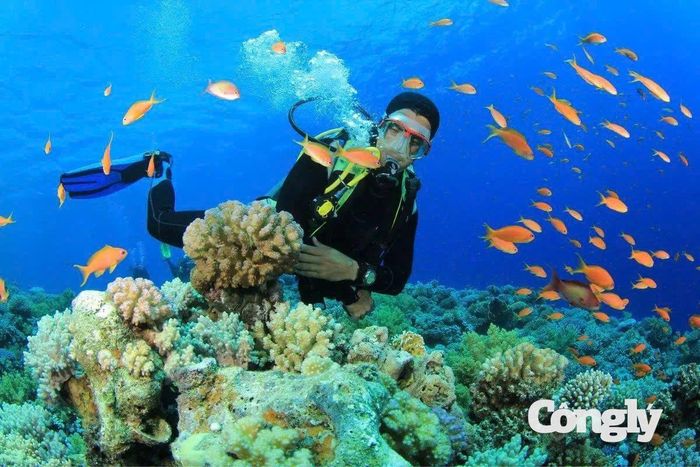 Trải nghiệm du lịch ở Nha Trang.