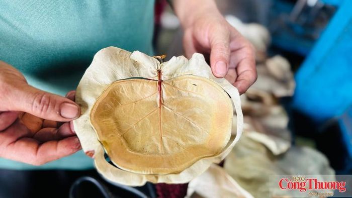 Chiếc đĩa nhỏ được tạo từ lá bàng biển đã trở thành sản phẩm xuất khẩu.