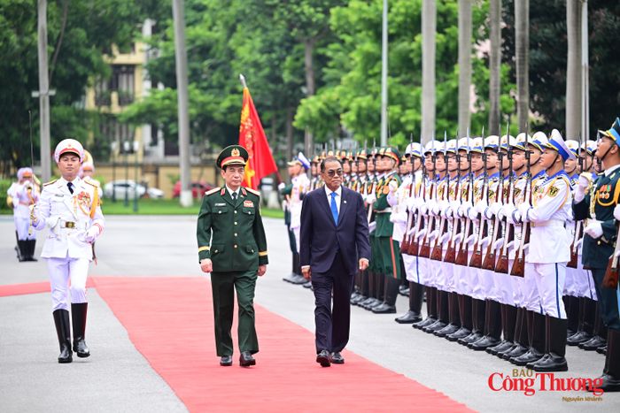 Bộ trưởng Quốc phòng Malaysia cùng Đại tướng Phan Văn Giang duyệt đội danh dự Quân đội nhân dân Việt Nam trong lễ đón chính thức.