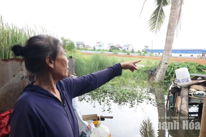 Bà Nguyệt chỉ khu vực mặt bằng đang được san lấp nằm sát nhà và khu chăn nuôi.