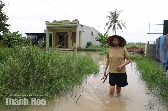 Sau mưa, lối vào nhà bà Nguyệt ở thôn Tân Phong 1, xã Lưu Vệ ngập sâu.