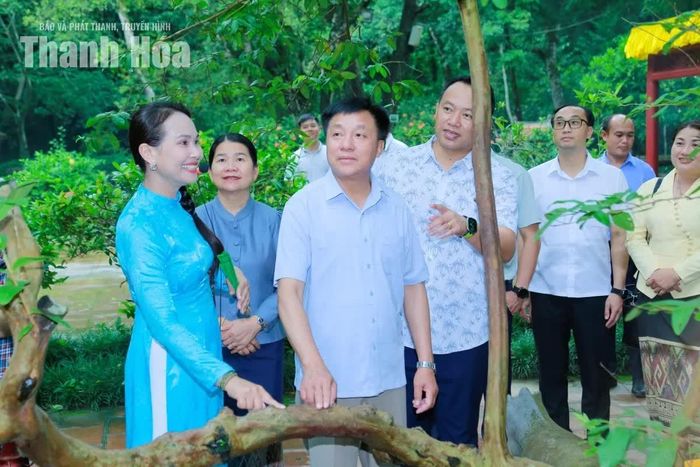 Các đại biểu tìm hiểu về “cây ổi cười” tại Khu di tích Quốc gia đặc biệt Lam Kinh.