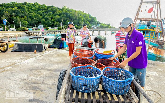 Khu vực bến cá tại quần đảo Hải Tặc sáng sớm đã nhộn nhịp. Ảnh: THỦY TIÊN