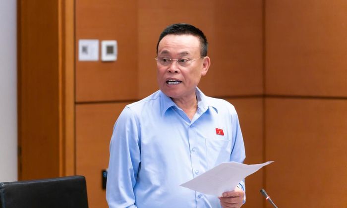 Đại biểu Nguyễn Như So phát biểu thảo luận.