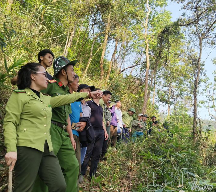Lãnh đạo UBND 3 xã Chiềng Sinh, Quài Tở , Tuần Giáo phối hợp Hạt Kiểm lâm và các lực lượng phối hợp tuần tra rừng khu vực giáp ranh 3 xã.