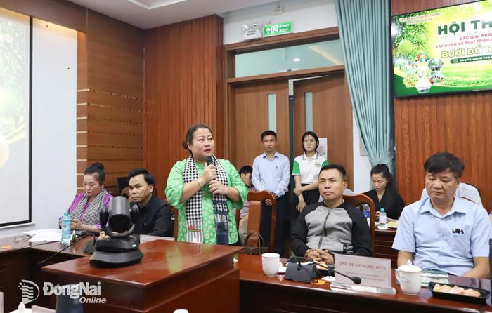Đại diện doanh nghiệp xuất khẩu trái cây tươi của thành phố Đồng Nai phát biểu ý kiến tại hội thảo. Ảnh: B.Nguyên