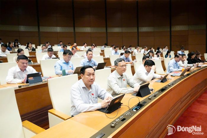 Đoàn Đại biểu Quốc hội thành phố Đồng Nai tham dự phiên họp tại hội trường sáng 6-8. Ảnh: CTV