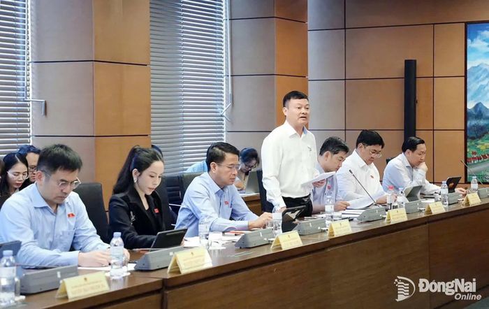 Đại biểu Đặng Doãn Thành, Đoàn Đại biểu Quốc hội thành phố Đồng Nai phát biểu thảo luận tại tổ. Ảnh: CTV