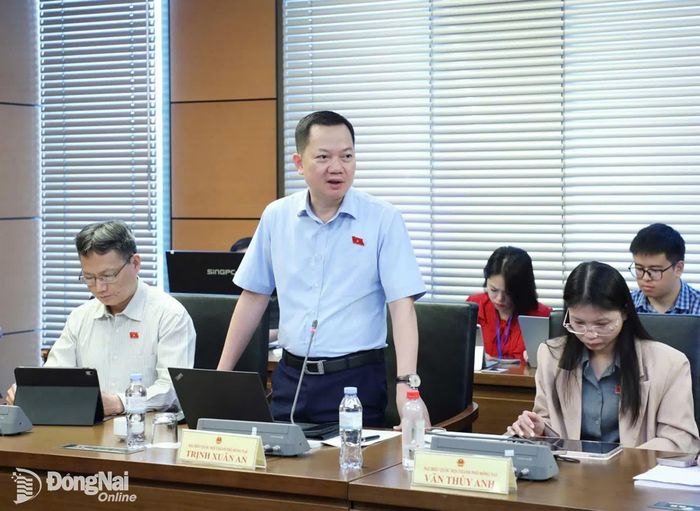 Đại biểu Trịnh Xuân An (Đoàn ĐBQH thành phố Đồng Nai) phát biểu thảo luận tại tổ. Ảnh: CTV