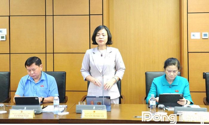Đại biểu Nguyễn Thanh Cầm phát biểu thảo luận.