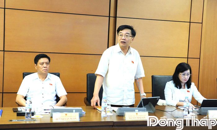 Đại biểu Nguyễn Minh Sơn phát biểu thảo luận.