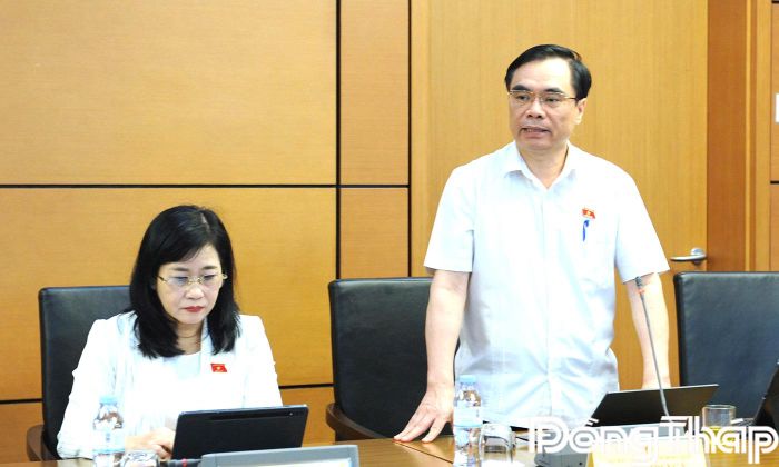 Đại biểu Dương Trung Ý phát biểu ý kiến thảo luận.