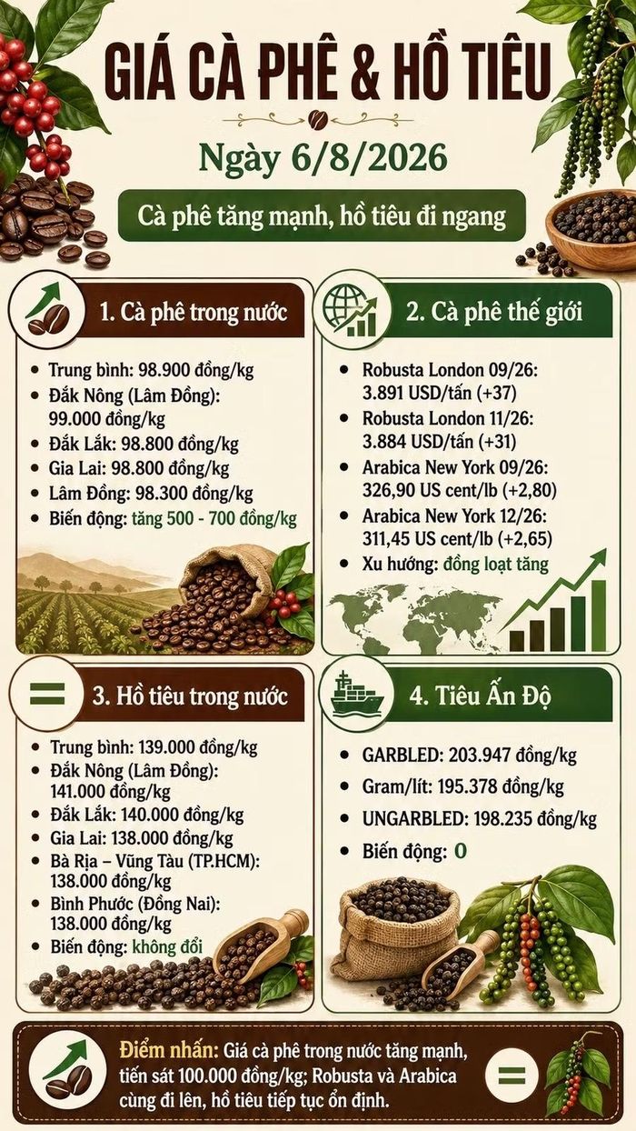 Infographic (AI)