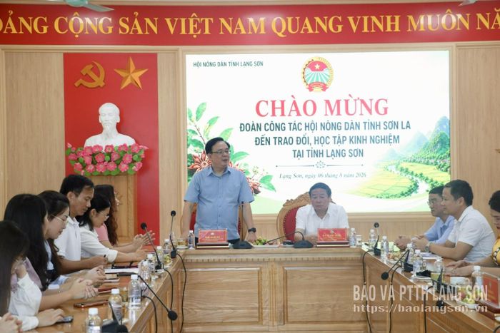 Lãnh đạo Hội Nông dân tỉnh phát biểu tại buổi làm việc