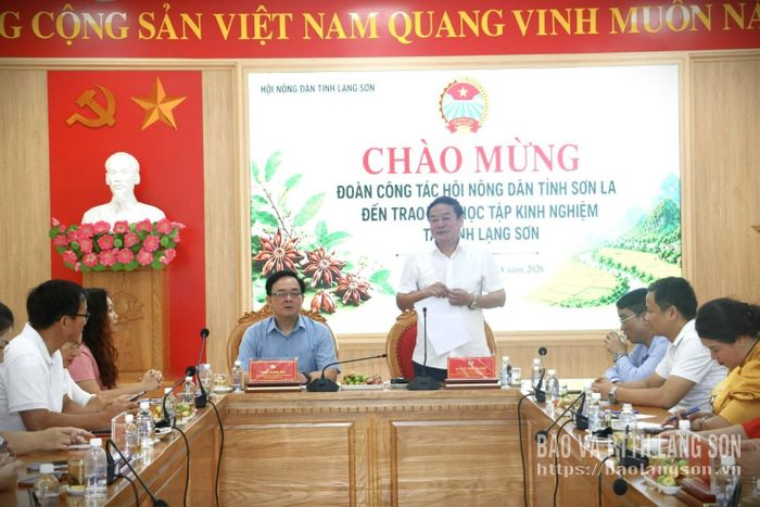 Lãnh đạo Hội Nông dân tỉnh Sơn La phát biểu tại buổi làm việc 