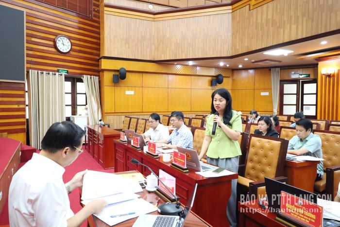 Lãnh đạo Ban Kinh tế - Ngân sách HĐND tỉnh phát biểu tại buổi thẩm tra