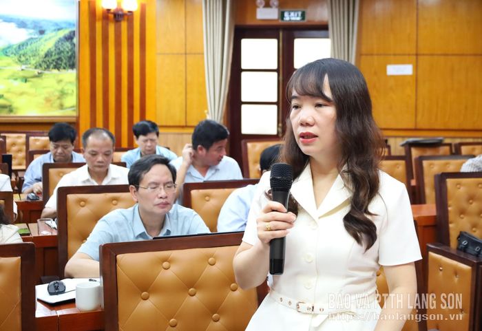 Lãnh đạo Sở Tài chính trình bày nội dung tờ trình được thẩm tra